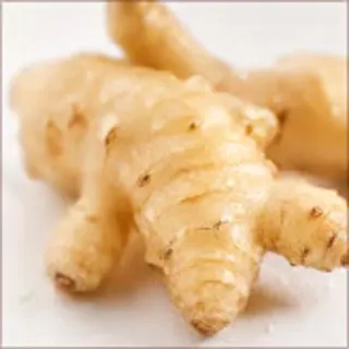 Inulin