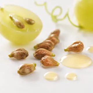 Grape Seed Oil